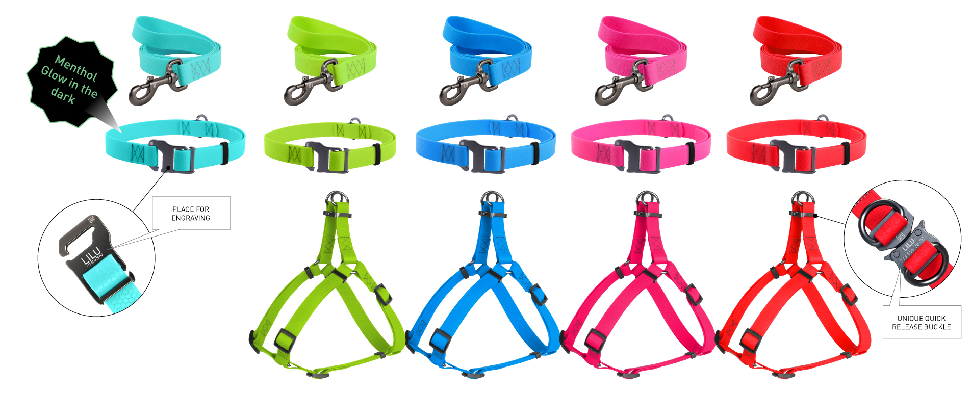 WAUDOG Waterproof leashes and collars on