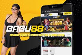 Babu88 Casino: Slots, Table Gamings, Live Dealerships